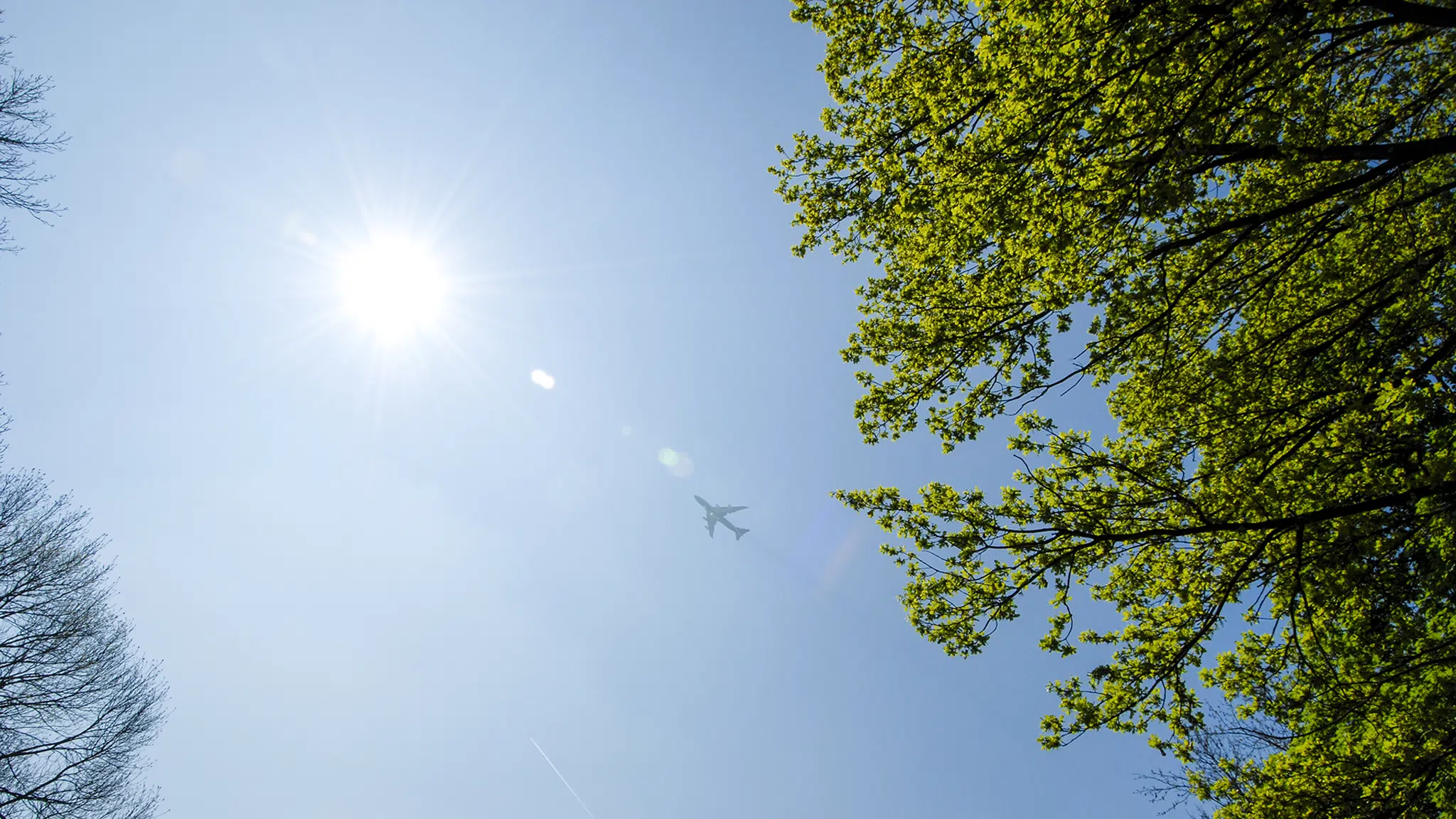 Sustainable aviation in the Netherlands